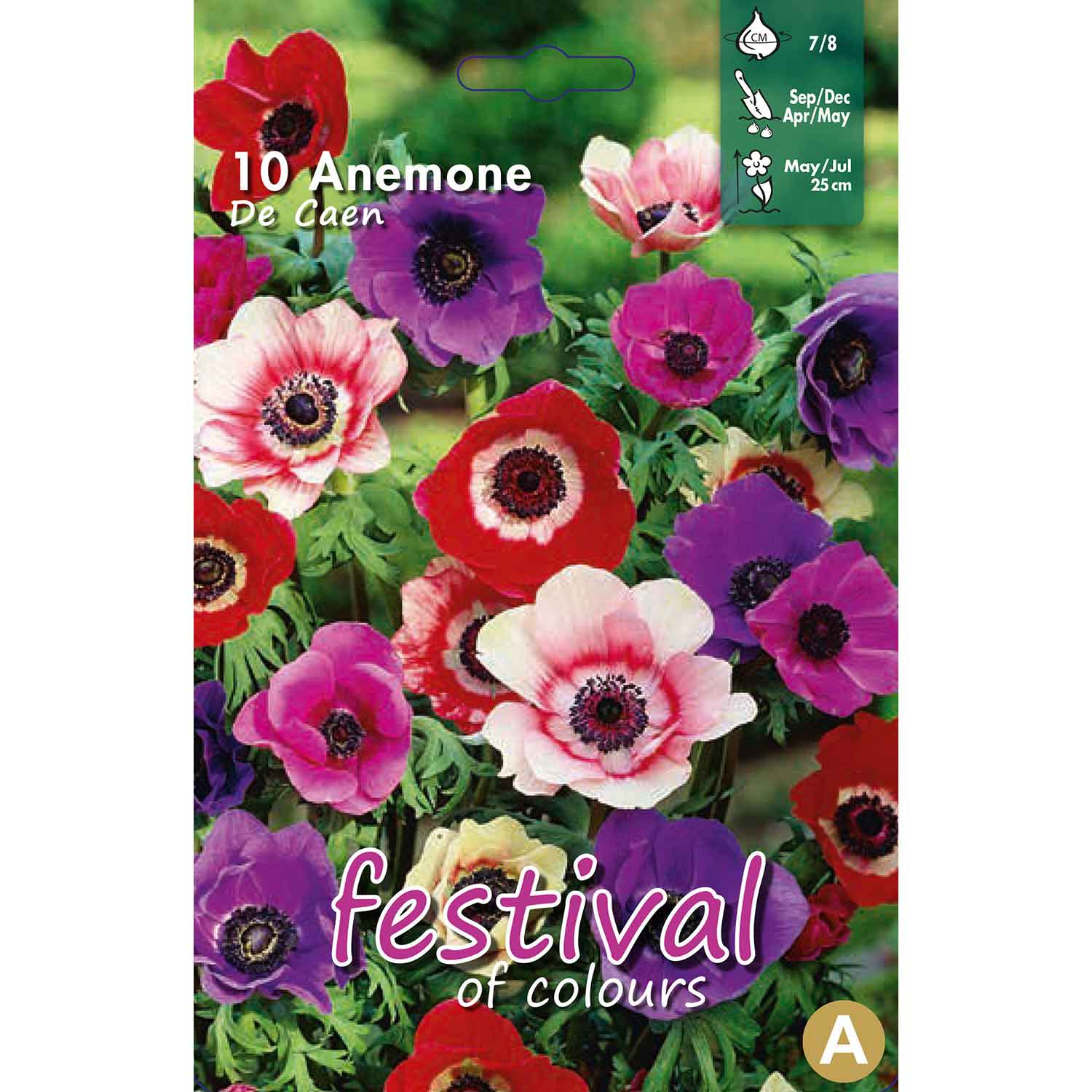 Anemone de Caen Mixed - 10 stk - 7/8