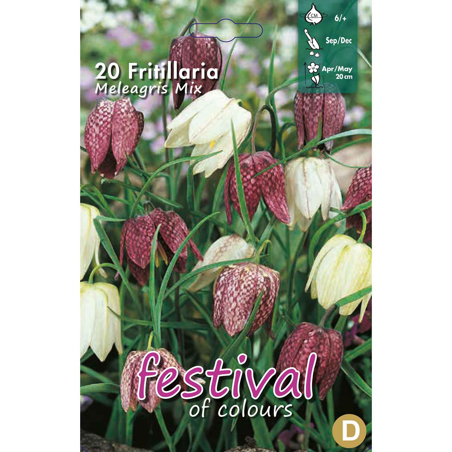 Vibeæg - Fritillaria Meleagris 6/+, 20 stk