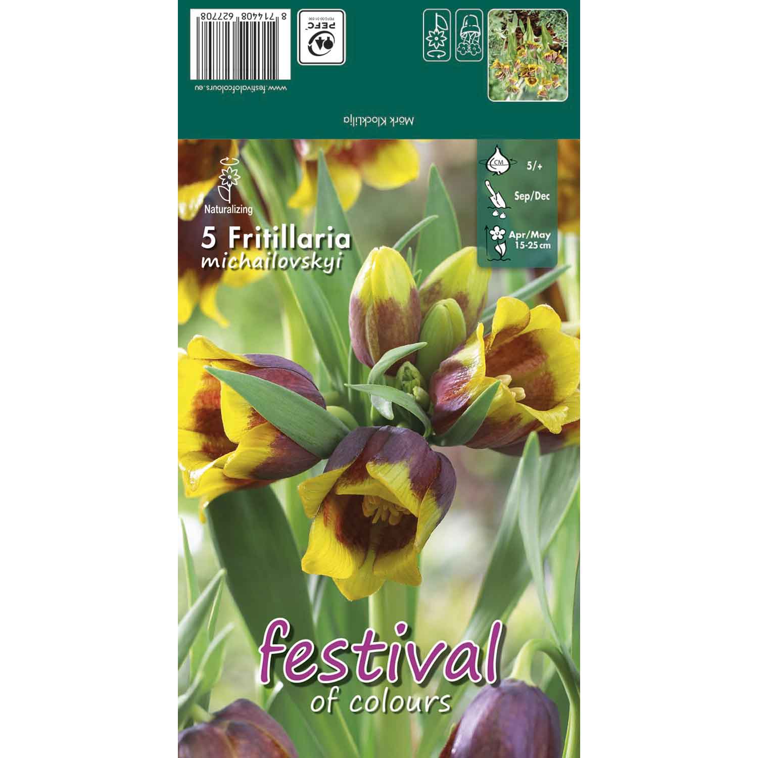 Fritillaria Michailovskyi 5/+ (x12x5) *627708*