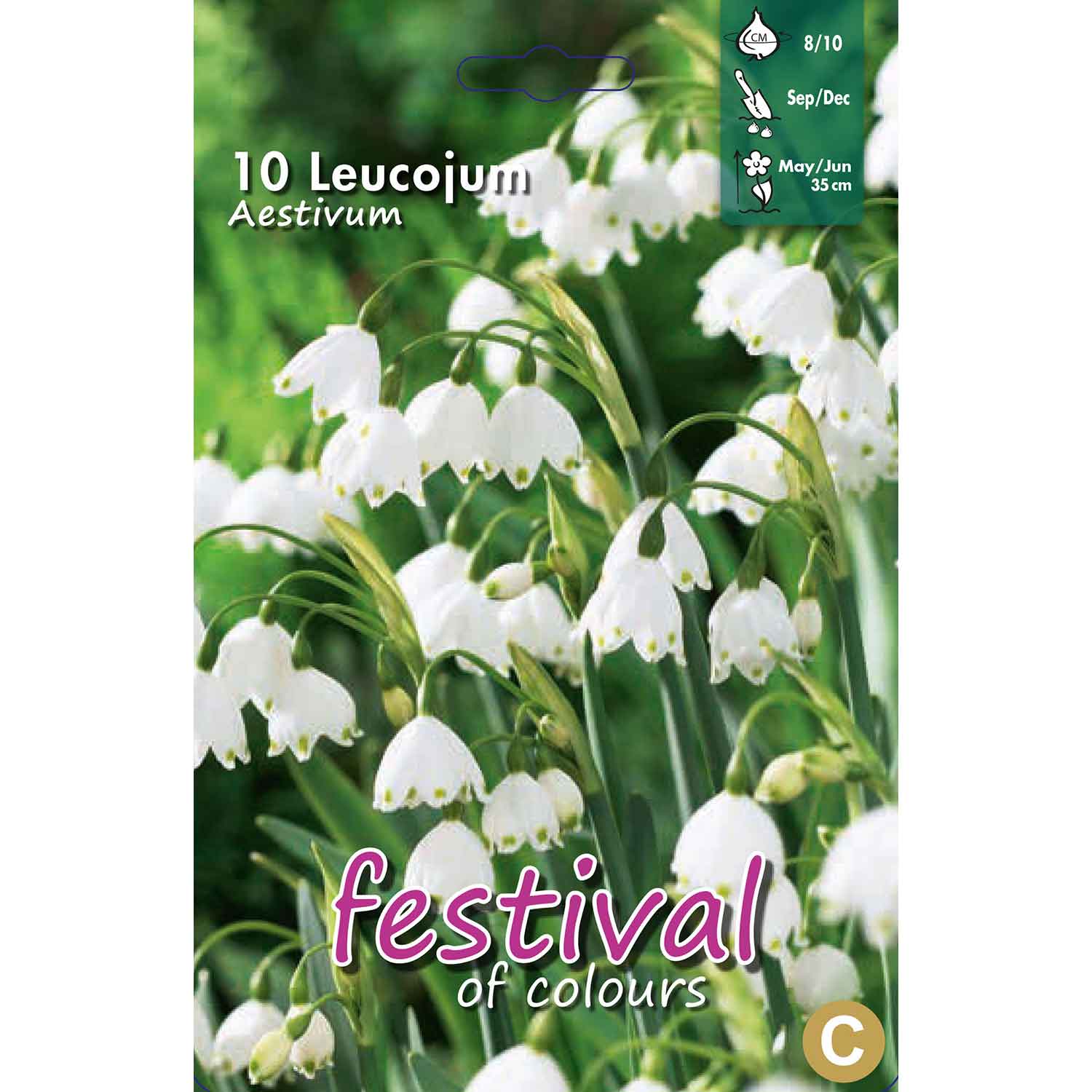 Hvidblomme - Leucojum Aestivum 8/10