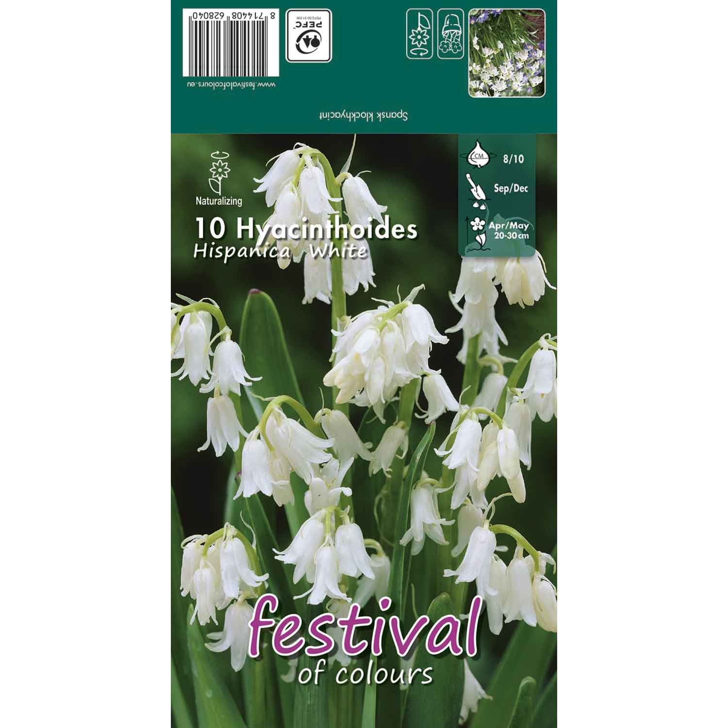 Hyacinthoides Hisp. White 8/10 (x12x10) *628040*