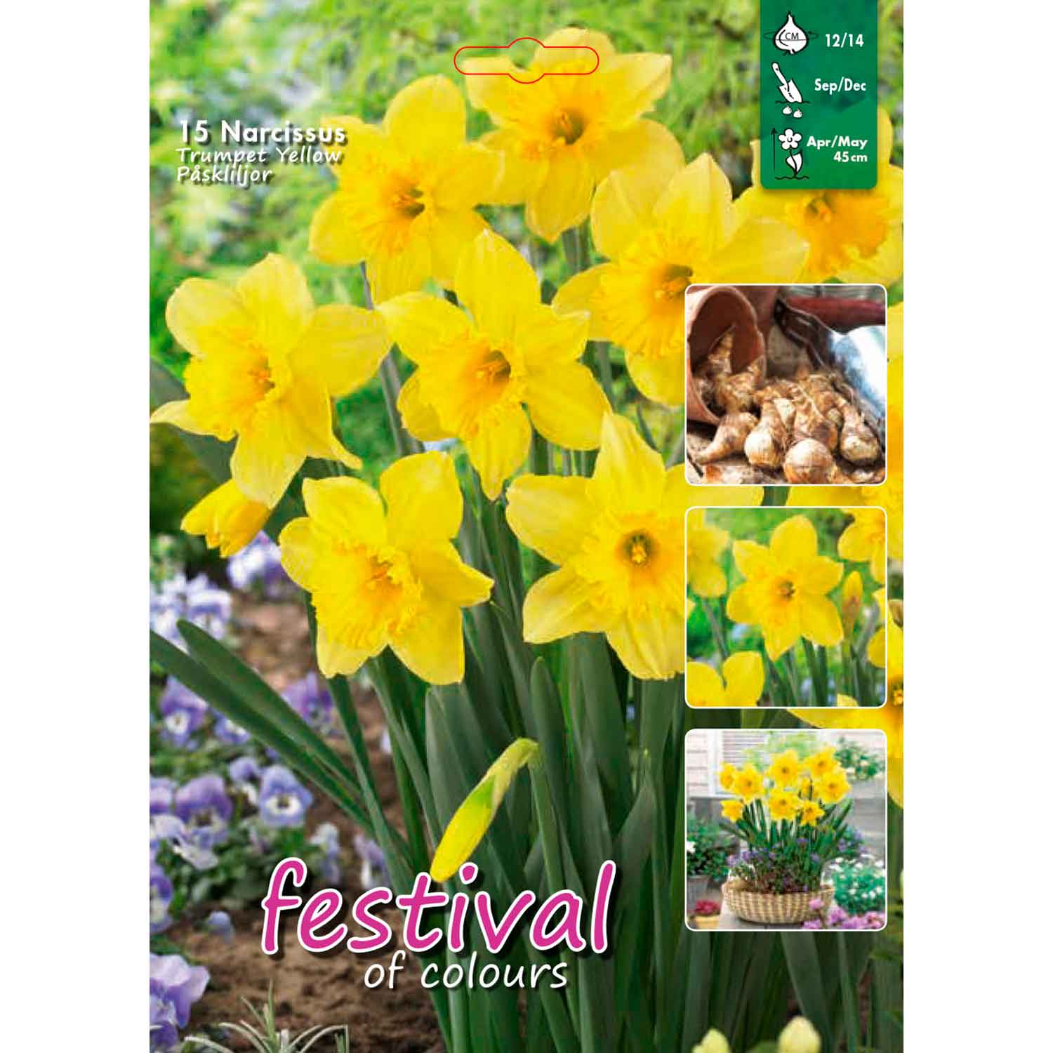 Daffodil - Narcissus Yellow Trumpet 12/14, 15 pcs.