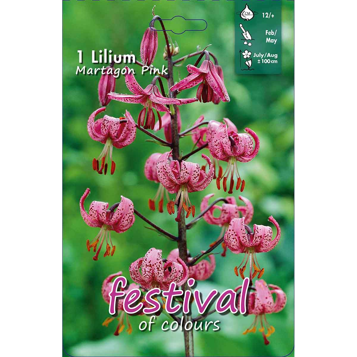 Lilium Martagon Pink (x14x1) 12/+ *670483*