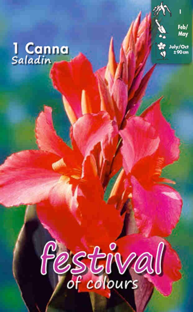 Canna Saladin (x14x1) I *680123*