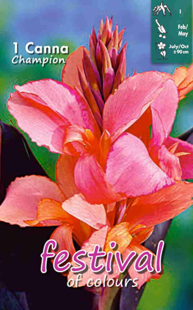 Canna Champion I (x14x1) *680741*