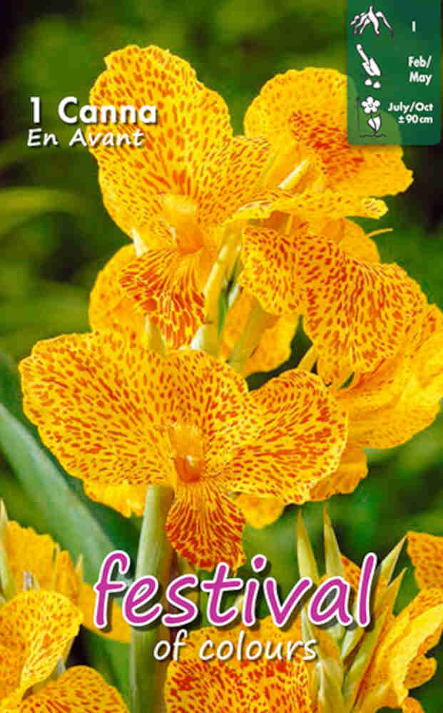 Canna En Avant (x14x1) I *680802*