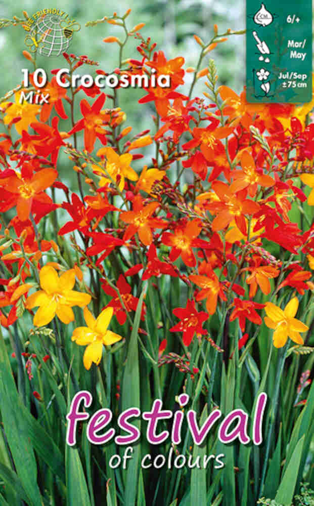 Crocosmia Mixed (x14x10) 6/+ *682172*