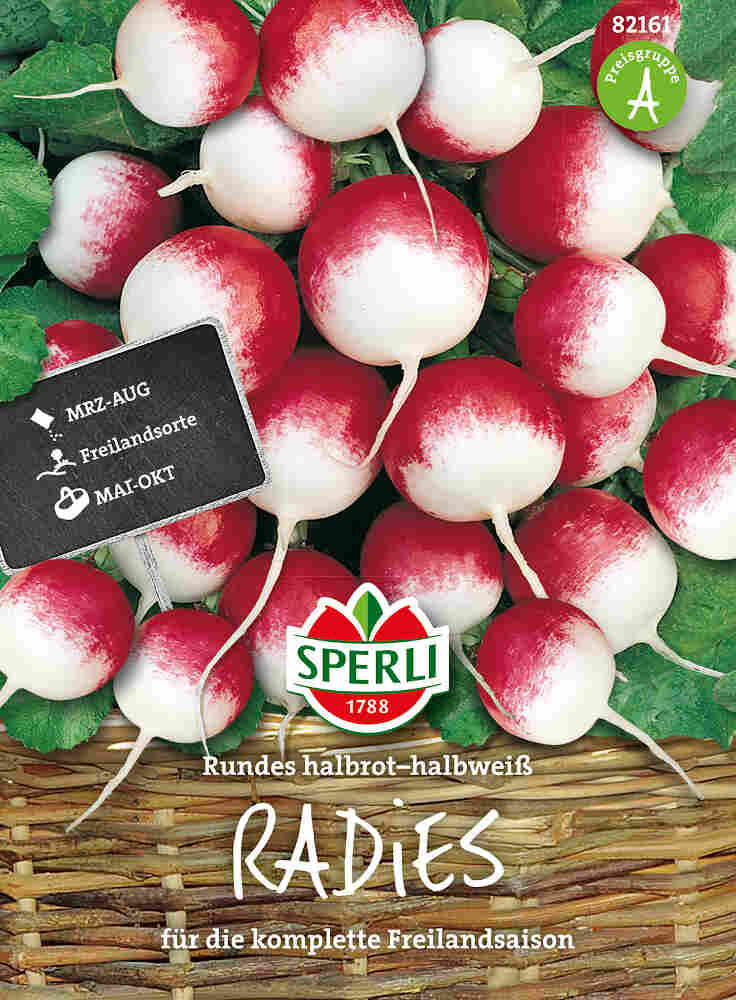 Radish seeds - Rundes halbrot-halbweiß