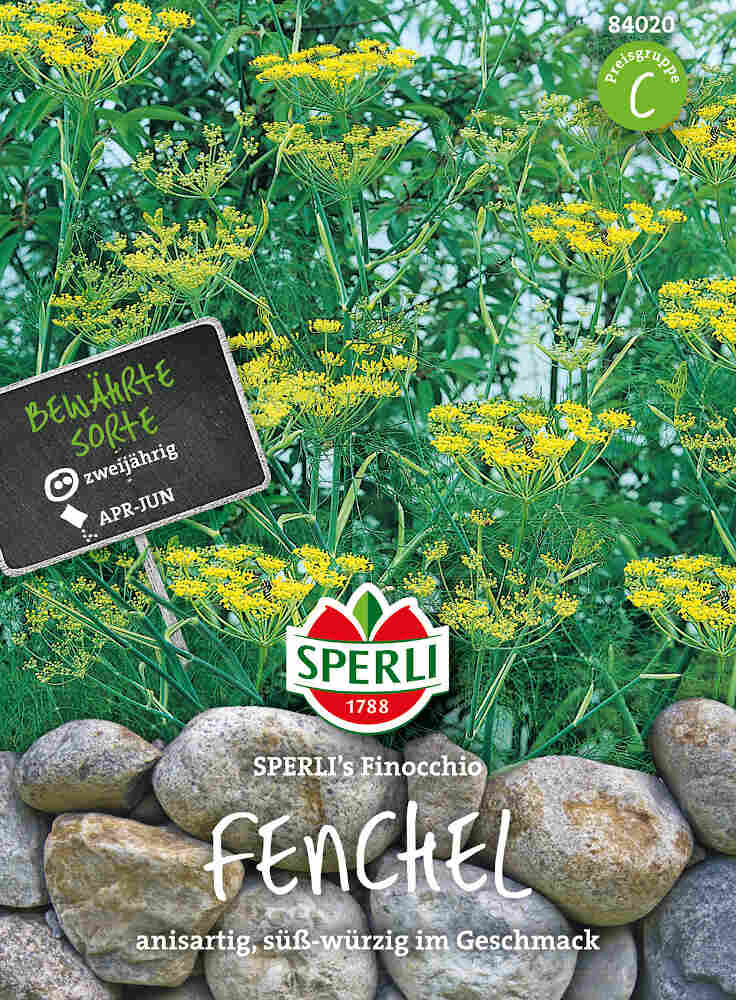 Fennikel - SPERLI's Finocchio