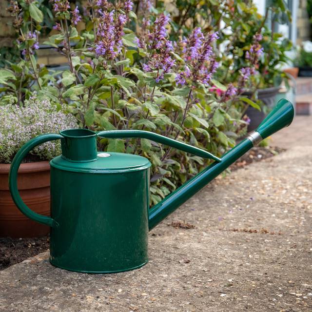 Metal watering can 9L - Green - Long neck