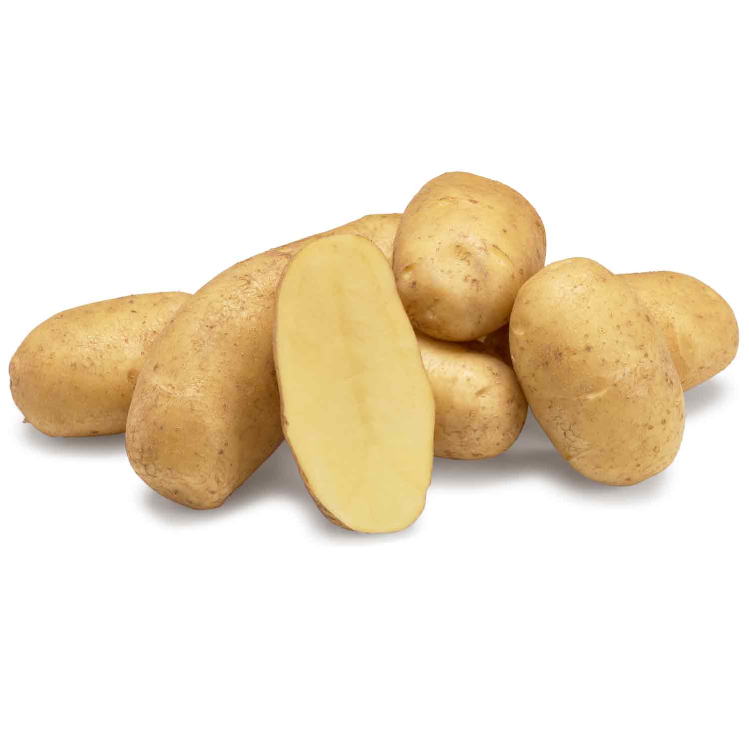 Seed potatoes - Ditta - 10 kg