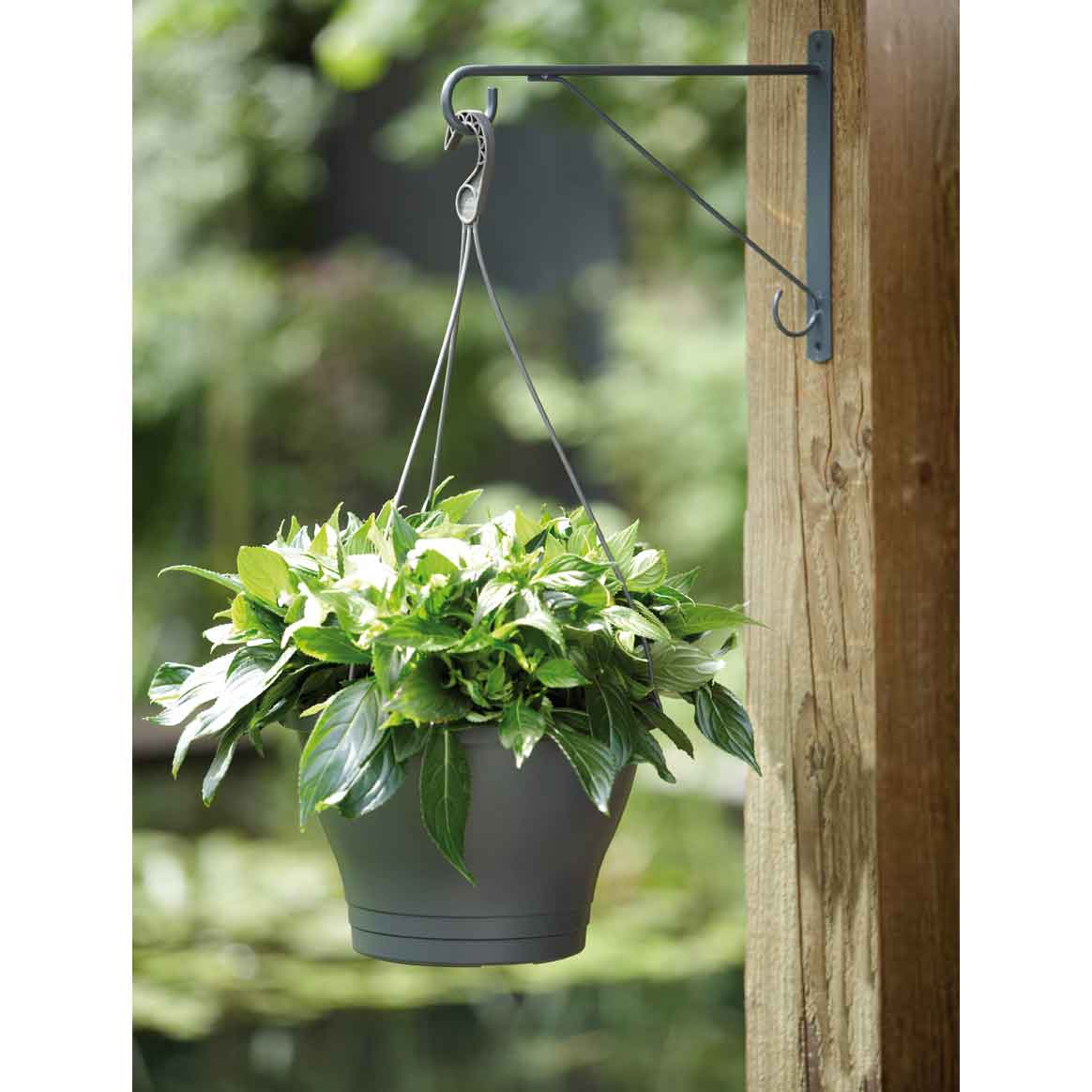 corsica hanging basket 30cm anthracite