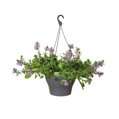 corsica hanging basket 30cm anthracite