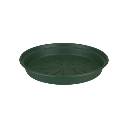 gb saucers 34 leaf green