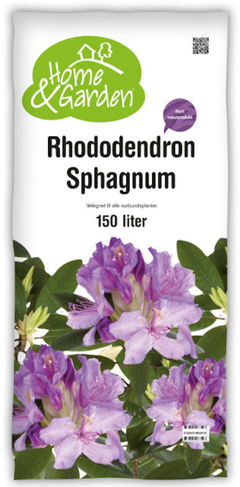 Rhododendron sphagnum 150L