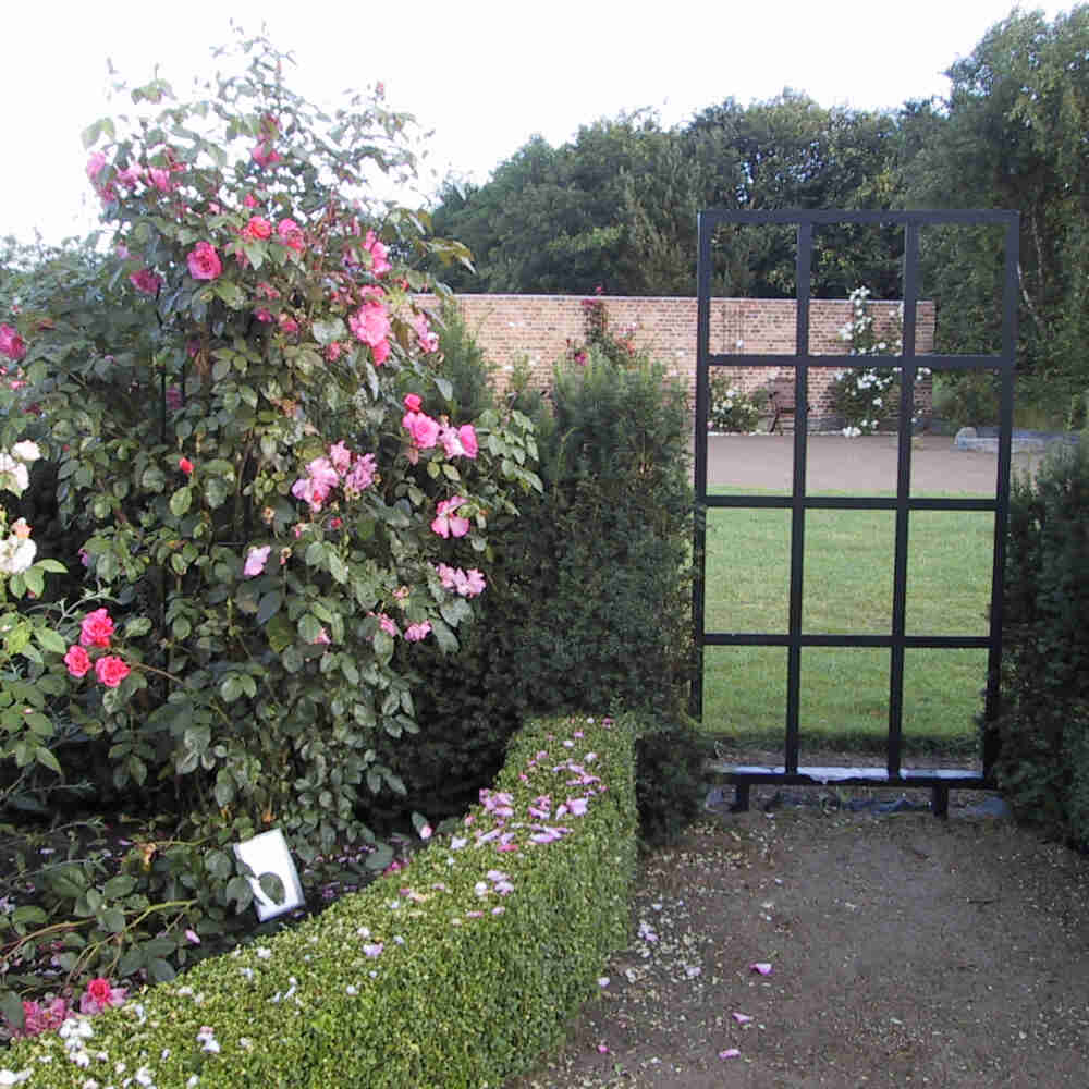 Climbing rose 'Rosenresli'