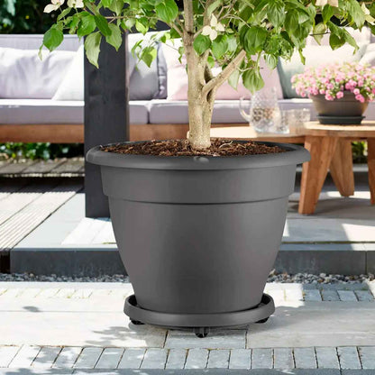 universal planttaxi 35 anthracite